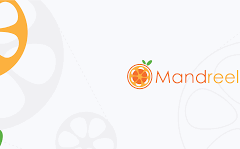 Mandreel_A a Social Media Marketing Provider