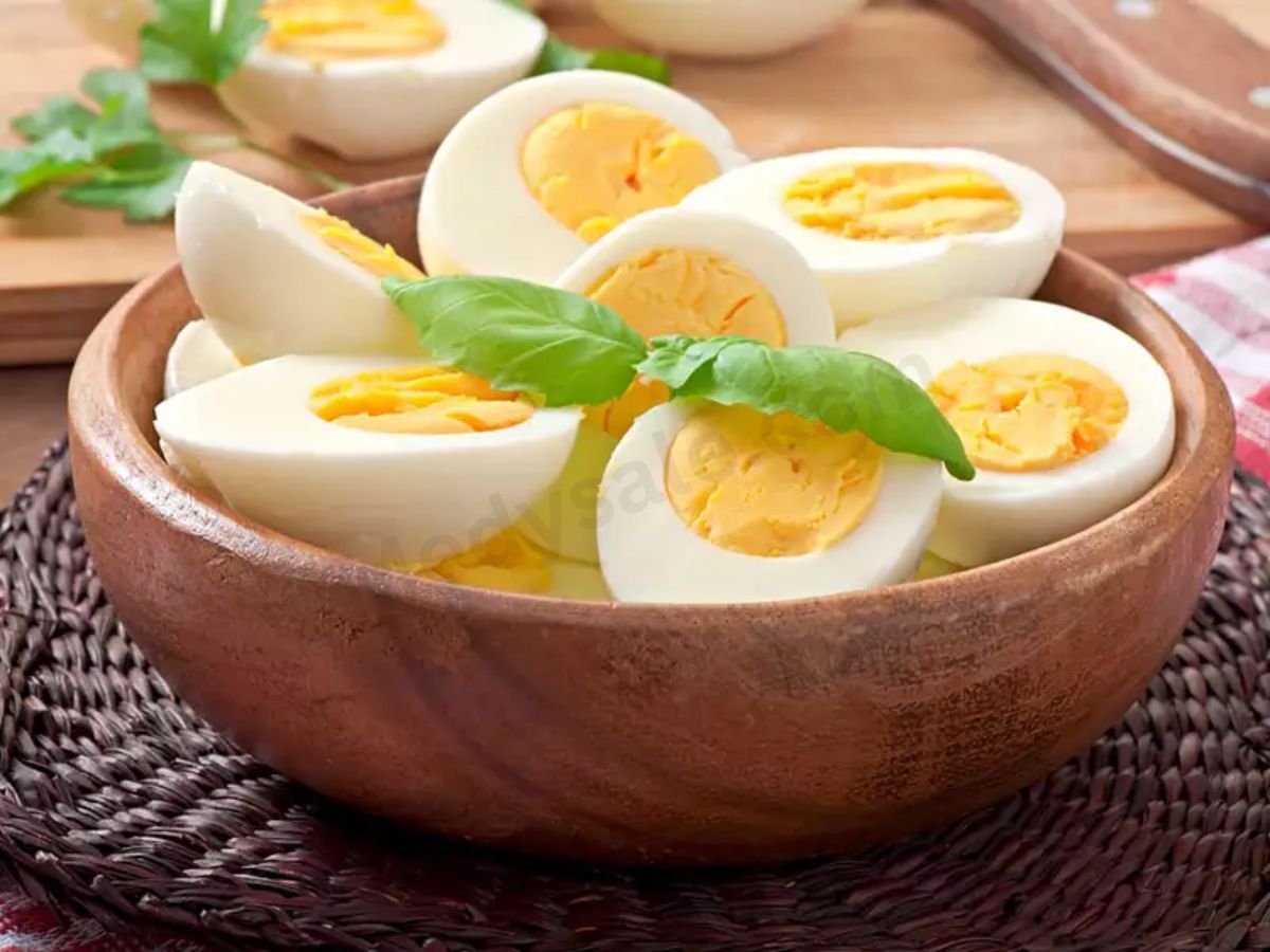 Why Is It So Important To Eat Eggs For A Healthy Life?
