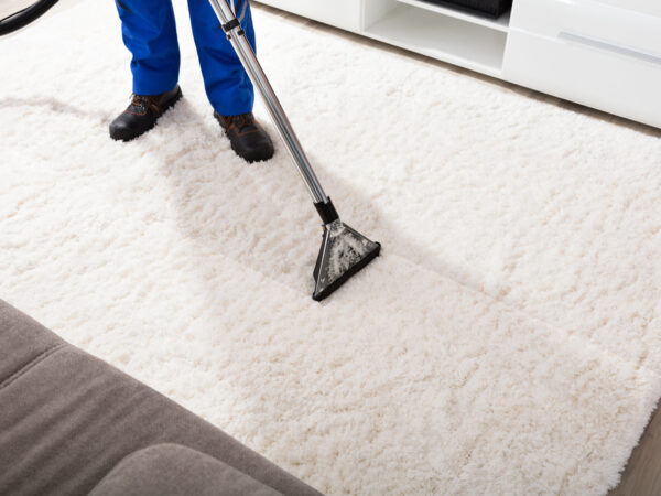 The Top 5 Carpet Cleaning Services That Can Keep Your Home Spotless