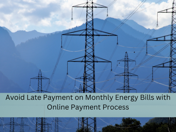 Avoid Late Payment on Monthly Energy Bills with Online Payment Process