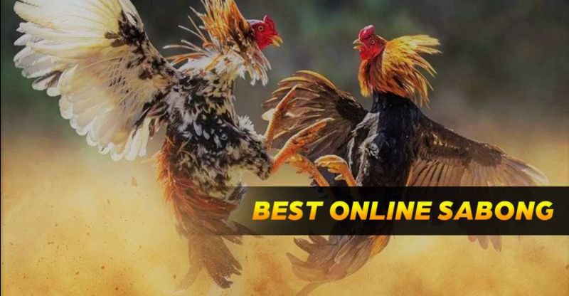 online sabong